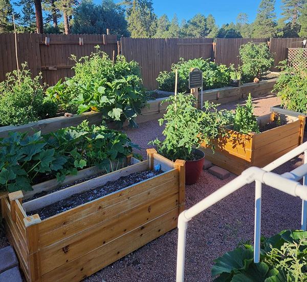 raised bed gardens at Heber RV Resort in Heber-Overgaard AZ